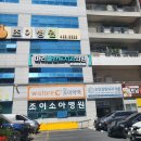 조이병원 | 대전 조이병원 성장검사 주차 솔직후기