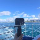 오션스타 | 하와이 거북이 스노클링 오션스타 후기(준비물, 고프로 대여)