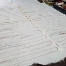 벧엘의료기 이미지