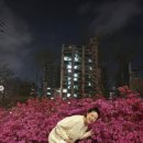 엄마김밥 이미지