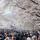 진해구 ⓒ-7 이미지