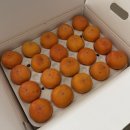 조아라청과 이미지