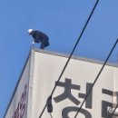 주식회사 청풍