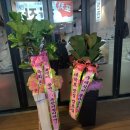 구공포차 이미지