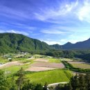 울릉도패밀리호텔 이미지