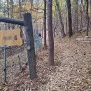 만안평생교육센터_하 | 수리산 관모봉, 태을봉 등산, 왕복3시간(반려견 대형견 동반), 만안구청 맛집 두꺼비부대찌개