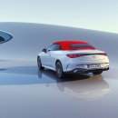 축복이네 이미지