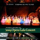 OPERA GALA CONCERT 이미지