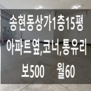 팰리시티뷰티