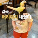 인천계양동물약국 | 인천 동물카페, 리프패럿 계양점 4살 아이 데려가도 될까요?