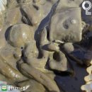 배떡 Daum카페