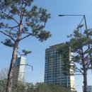 정화노래연습장 이미지