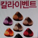 2월 칼 라 이벤트(염색) 이미지