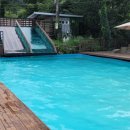 푸른숲캠핑장 이미지