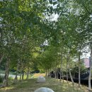 플랑드베르 풀빌라 | 강원도 여행 평창 아기랑 독채 키즈풀빌라 플랑드베르 그물동 숙박후기