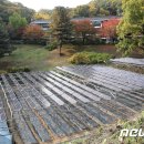 분당태양광발전소 이미지