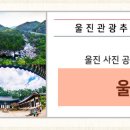 친환경엑스포로2 네이버블로그