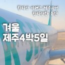 [겨울 제주4박5일] 코스DAY1 서귀포/방탄카페/올레시장/새연교