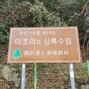 미조아이어린이집 이미지