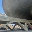 쌍용자동차경주서비스프라자 | 2025 관광서비스 누리살핌단 해단식 후기