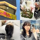 WOOA Hair(우아헤어)