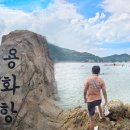 용화해변 네이버블로그