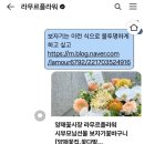 라무르플라워
