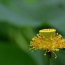 천생연분마을 이미지