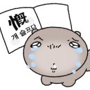 신일환동물병원 이미지