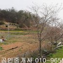 엄다면 102 이미지