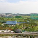 새(화산) 이미지