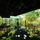 아르떼뮤지엄 이미지