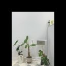 니어앤디어 이미지