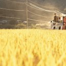 한창메디칼 이미지