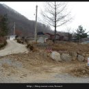 건들내민박 이미지