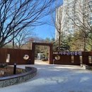 사우로 L 더팩트