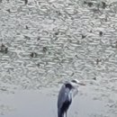 호민저수지(서) 네이버블로그