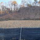 전원 부동산 중개인 사무소 이미지