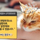 노랑오리농업회사법인(주) 이미지