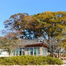 사곡2구 장척 이미지