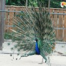 경주버드파크 이미지