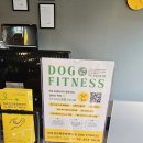 반려견교육문화센터 &amp; DOG FITNESS 올바로 체험후기