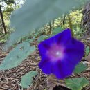 부평삼거리역 이미지