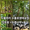 두물머리약초