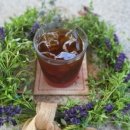 정옥순농장 이미지