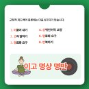 늘보쌤의 암기카드 (5) 의사소통장애, 교정적 피드백 이미지