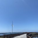 푸른신창 이미지