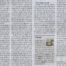 나라콩나물