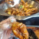 촉도대하