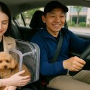 인천서구청라 가치가요 펫택시 이미지